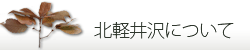 北軽井沢について