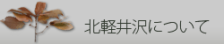 北軽井沢について