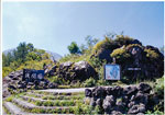写真05