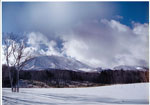 写真07