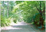 写真01