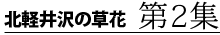 北軽井沢の草花　第2集