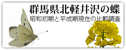 群馬県北軽井沢の蝶類 昭和初期と平成期現在の比較調査